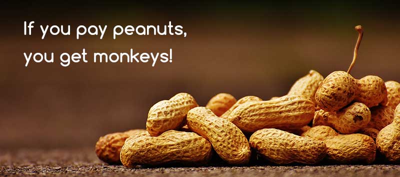 Gingermagic-If you pay peanuts you get monkeys